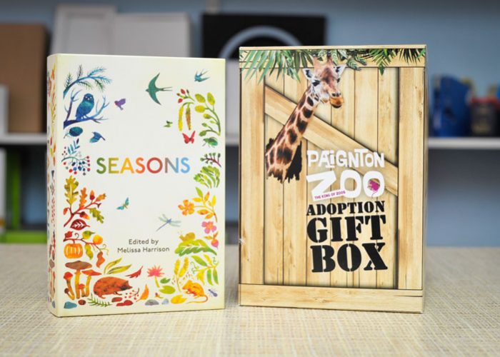 cardboard boxes torbay